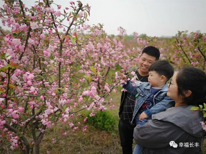 运动场上百花齐放成绩惊艳瞩目