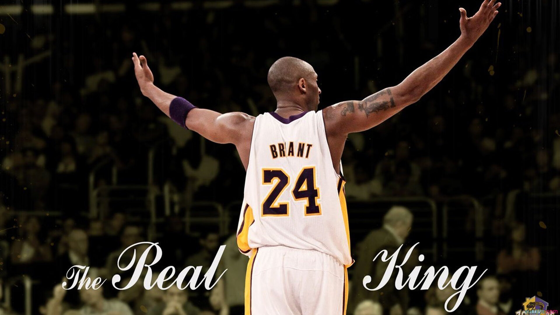 76人全方位压制北京队,武切维奇内外线高光表现成比赛关键